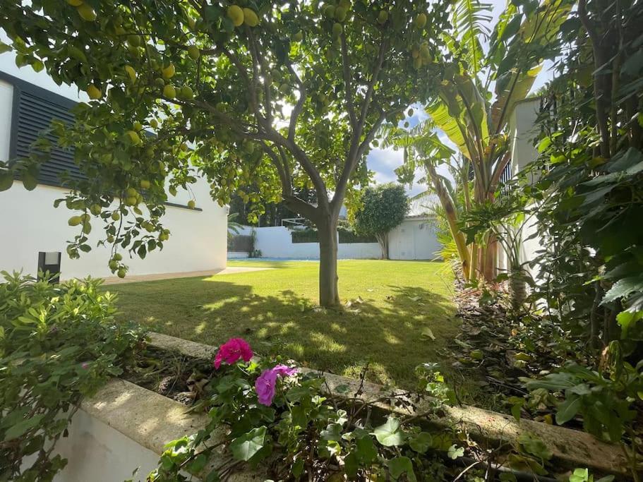 Sunset Villa Arcos أركوس ديلا فرونتيرا المظهر الخارجي الصورة