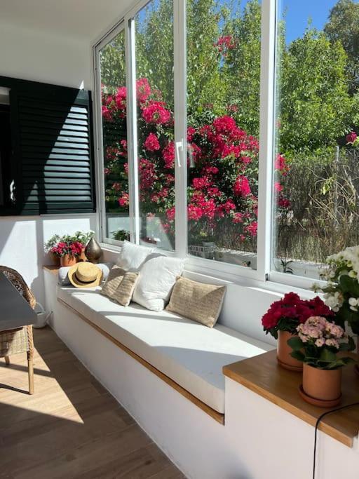 Sunset Villa Arcos أركوس ديلا فرونتيرا المظهر الخارجي الصورة