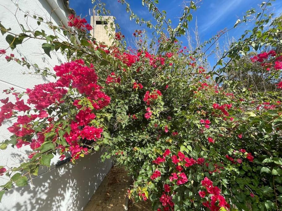 Sunset Villa Arcos أركوس ديلا فرونتيرا المظهر الخارجي الصورة
